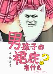 男孩子的裙底有什么 完结&#43;番外